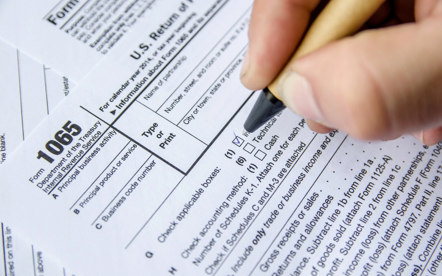 Image of Form 1065