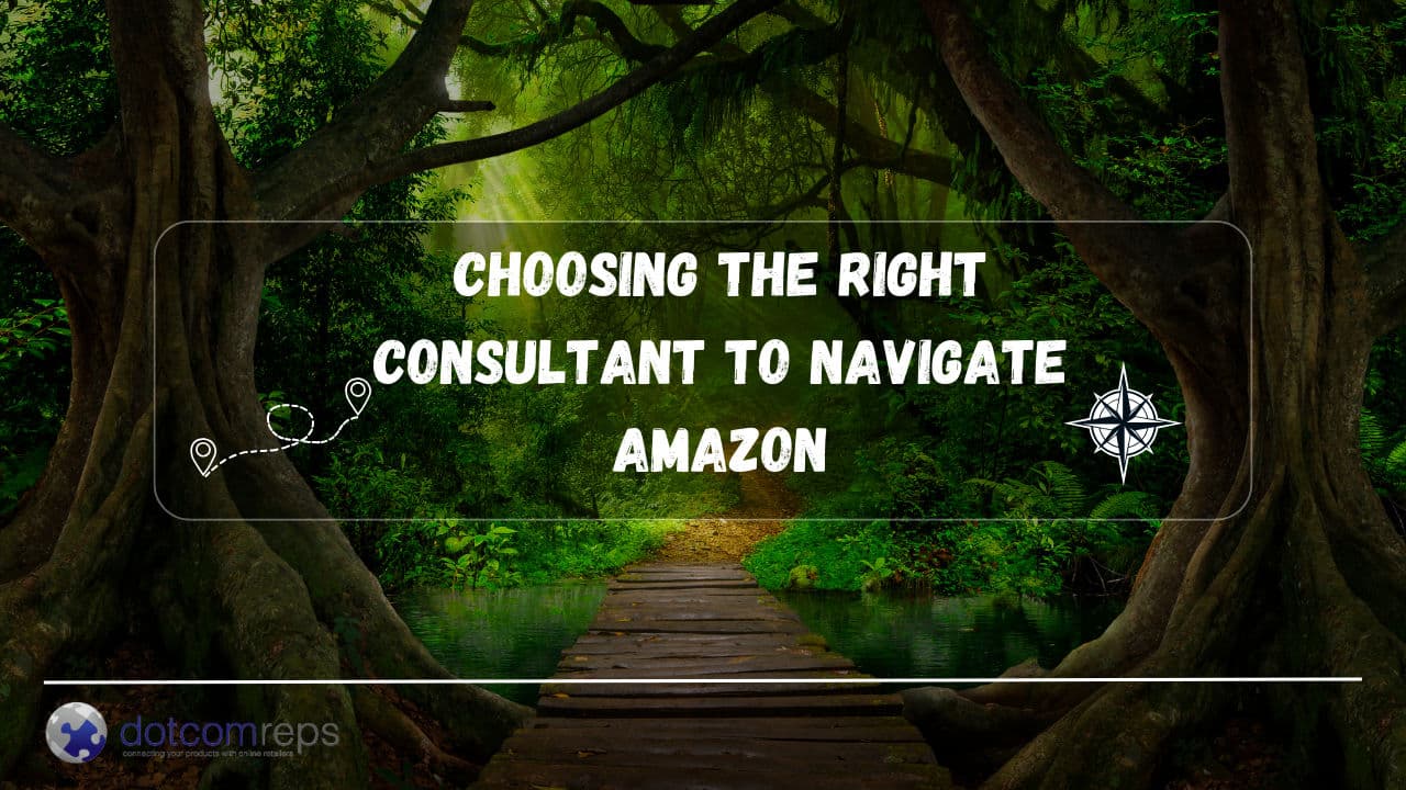How To Choose Amazon Consulting Services? A Checklist for Brands