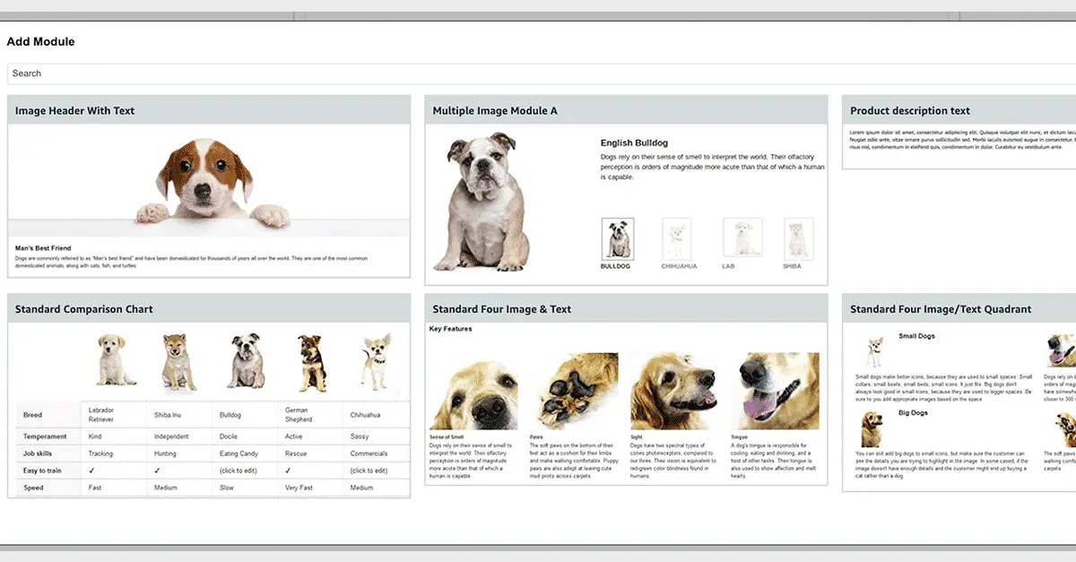 What is Amazon A+ Content? All You Want To Know