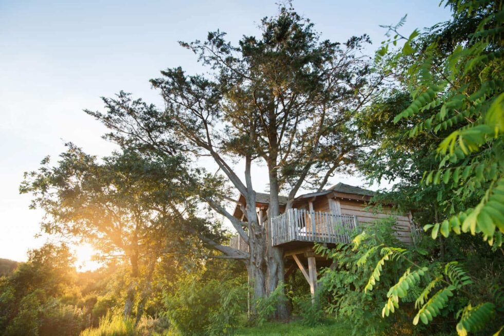 Cabane perchée dans les arbres à l’hôtel La Grée des Landes à La Gacilly, un hébergement écologique au cœur de la nature bretonne