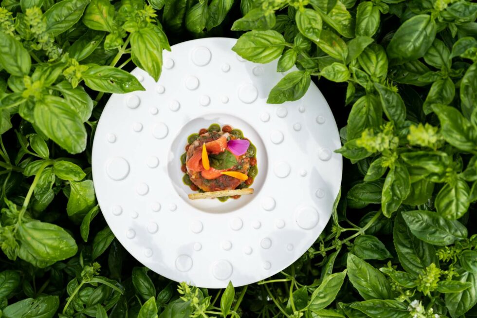Plat gastronomique bio et locavore servi au restaurant de l’hôtel La Grée des Landes, au cœur de la Bretagne