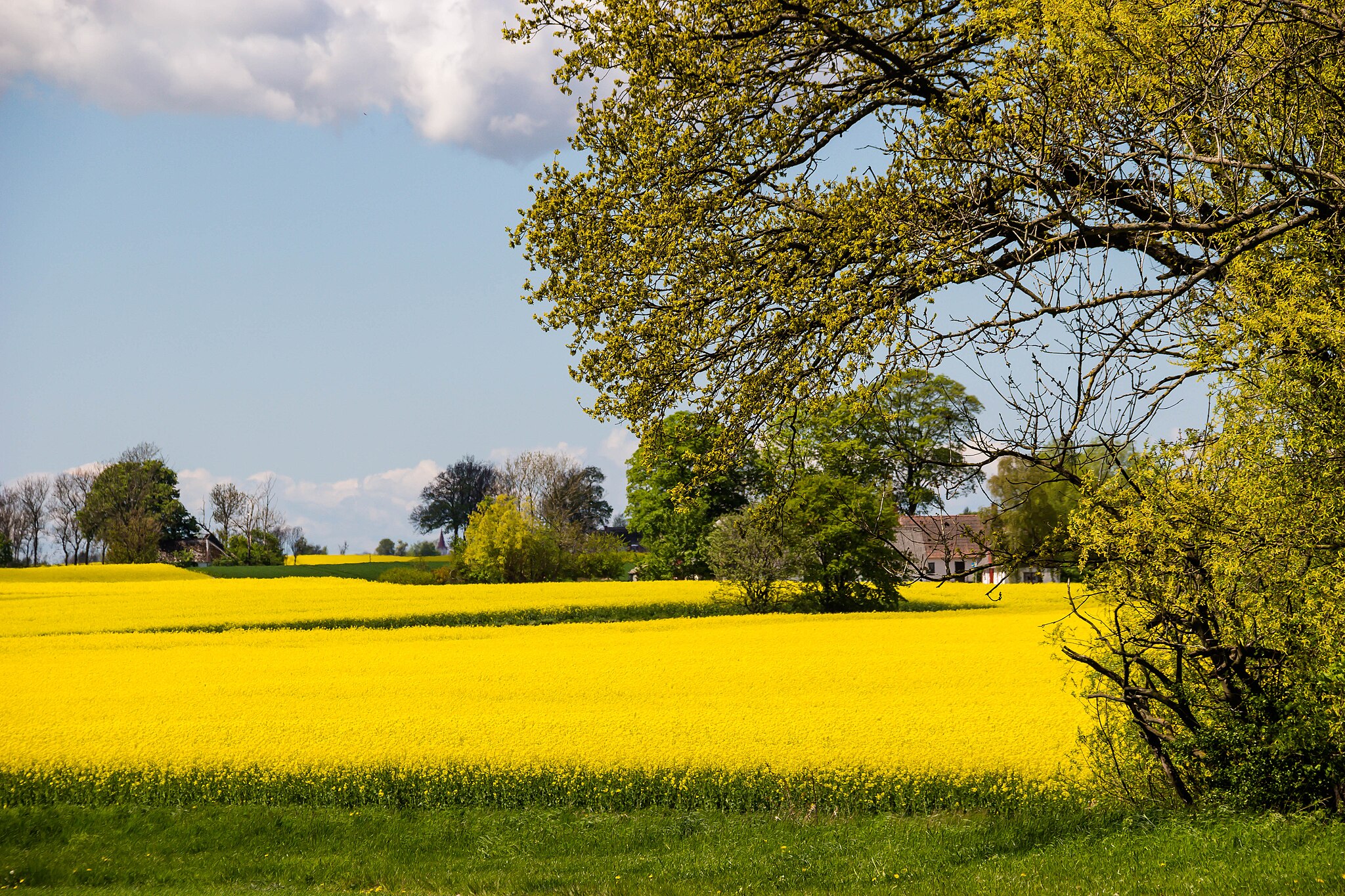 Skåne län