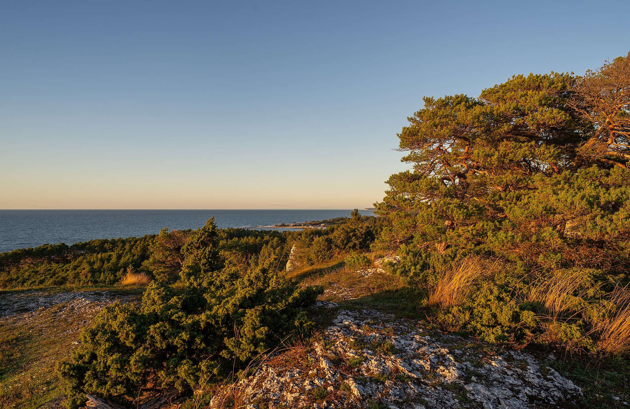 Gotlands län