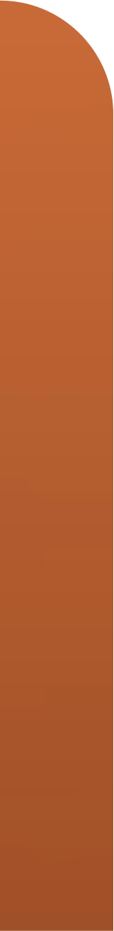 Vector 