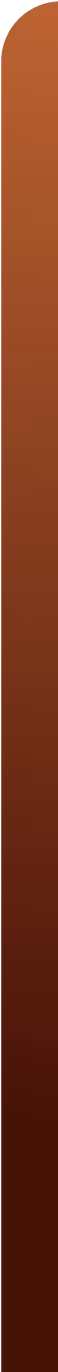 Vector 