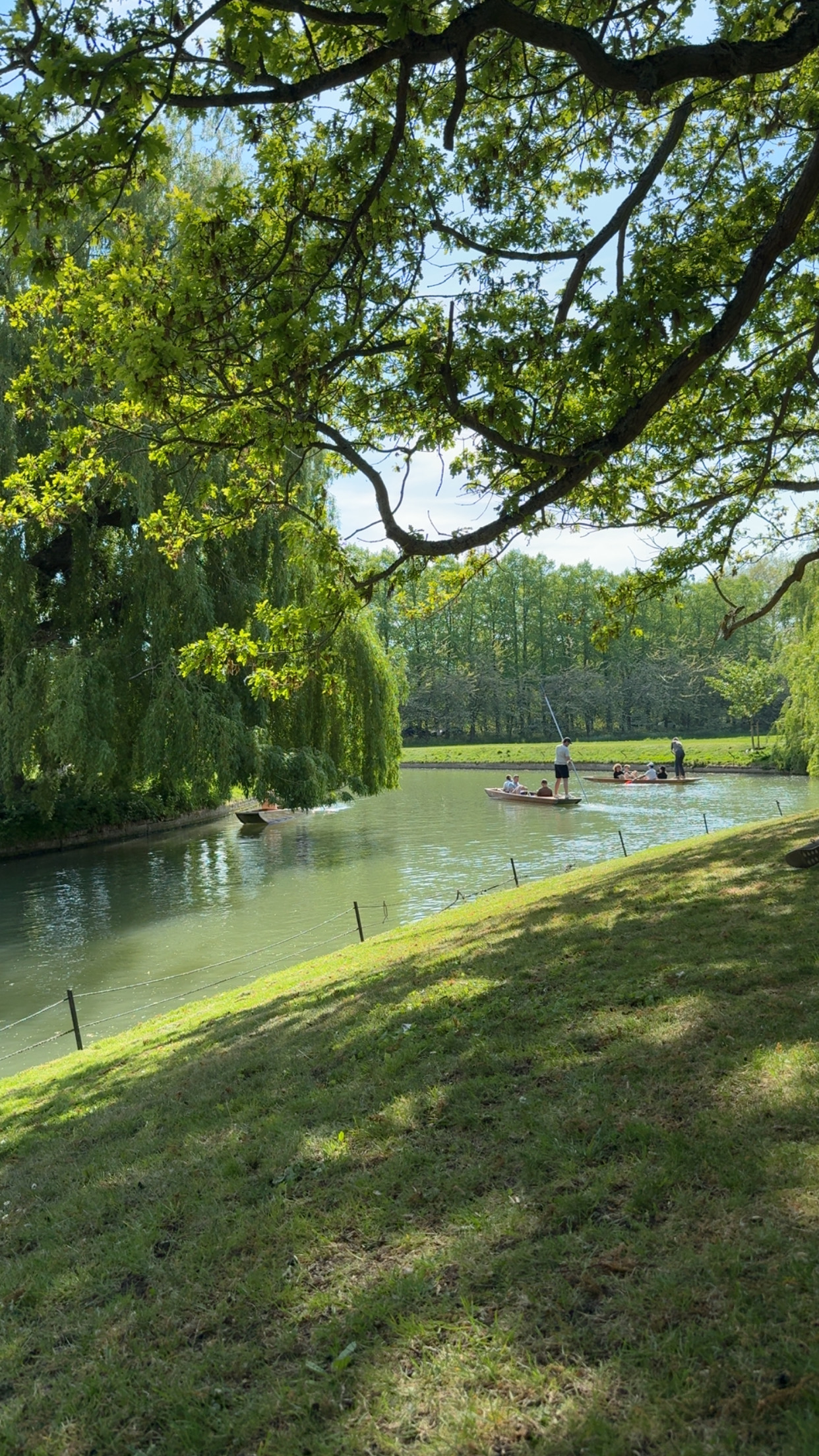 image of a consulting setup