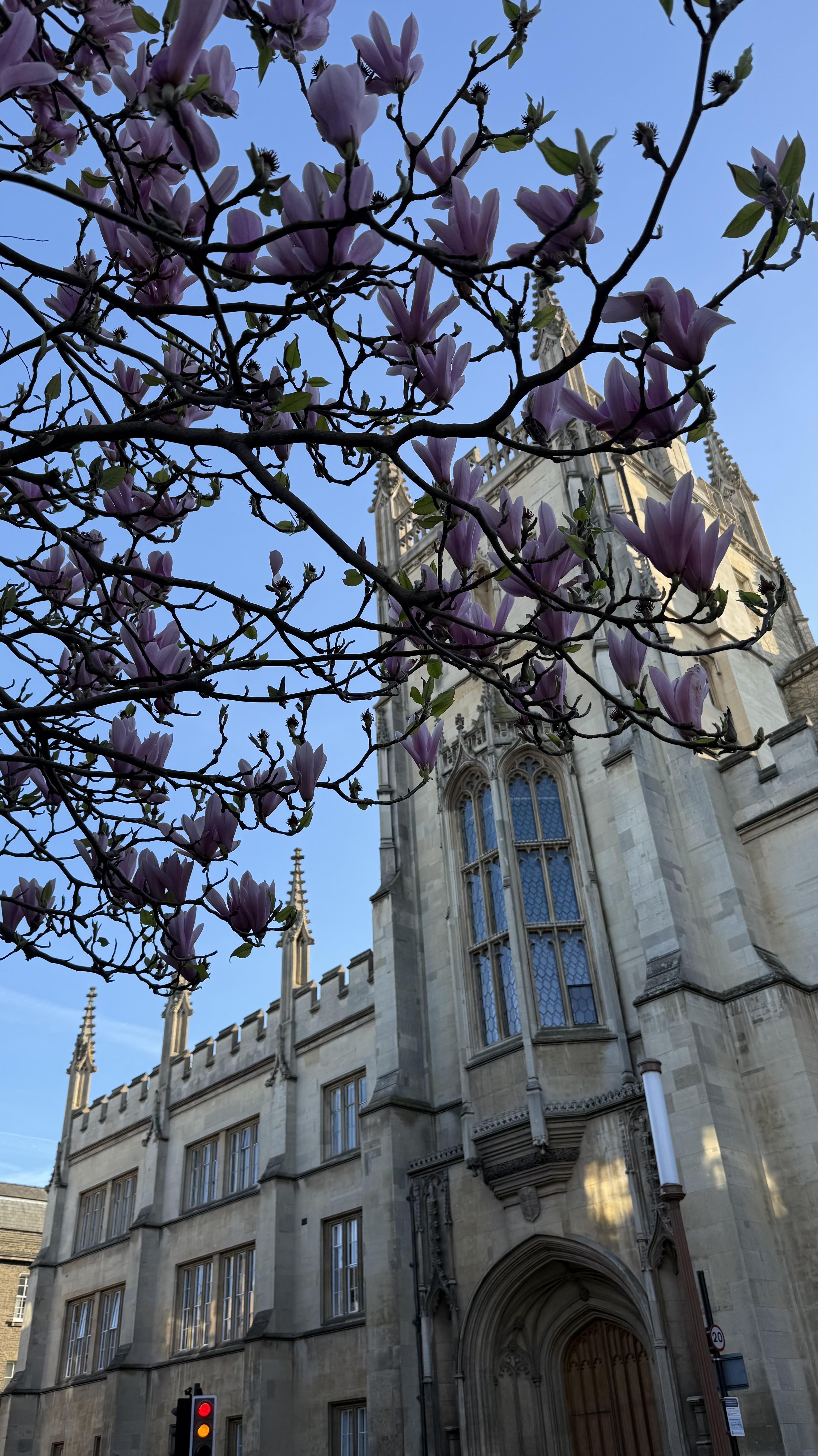 image of seminar (for a university)