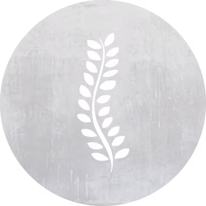 Honest Chiropractic logo
