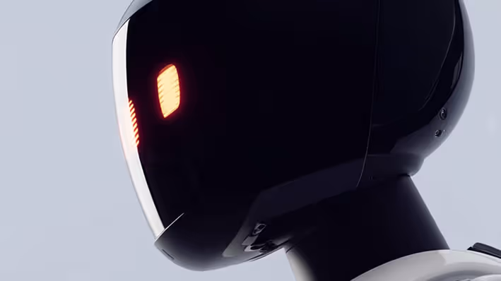 A humanoid robot