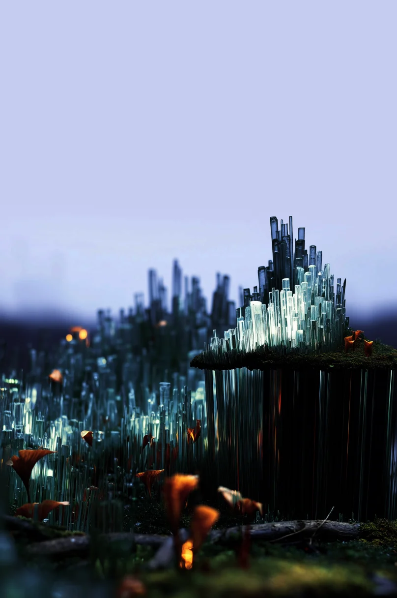 Illustration Fiction