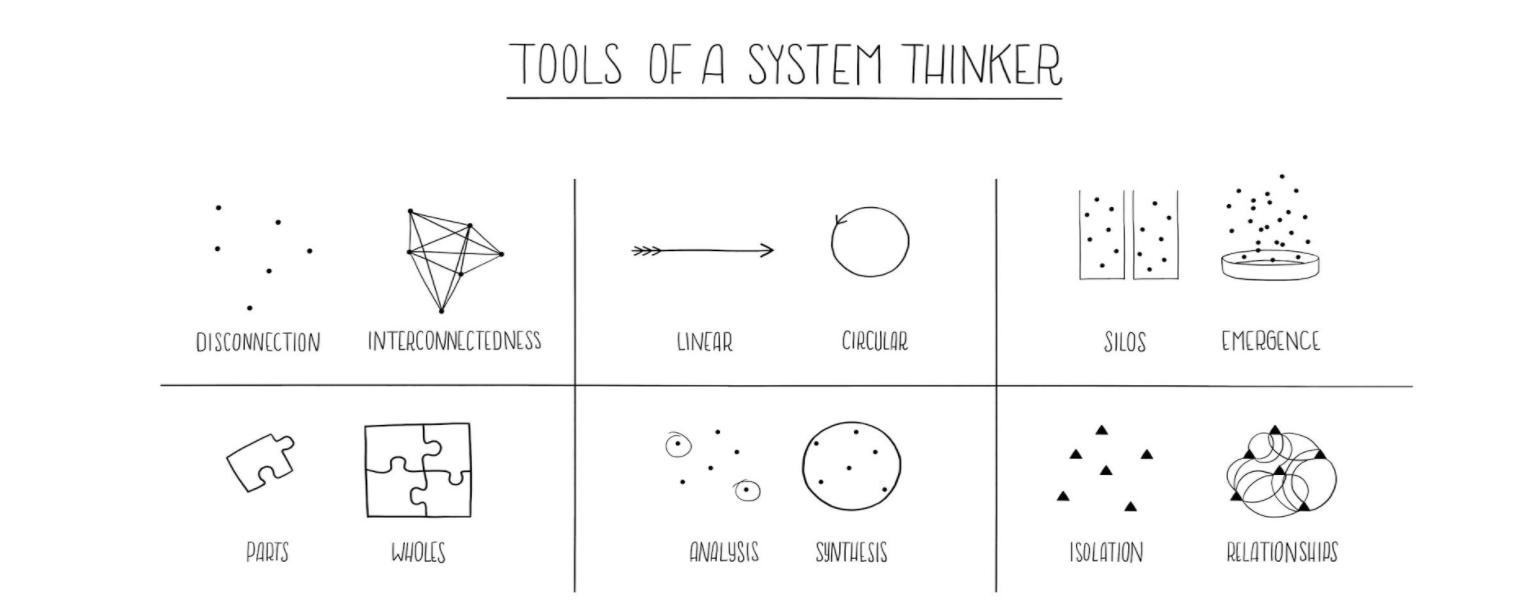 Illustrator: Emma Segal / Source : Online unschools, Systems Thinking https://www.circulardesignguide.com/resources