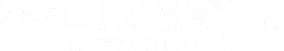 Lincoln International company logo with stylized swirl icon.