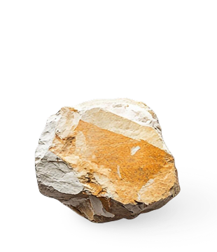 Stone Photo