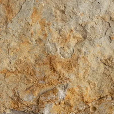 Stone Photo