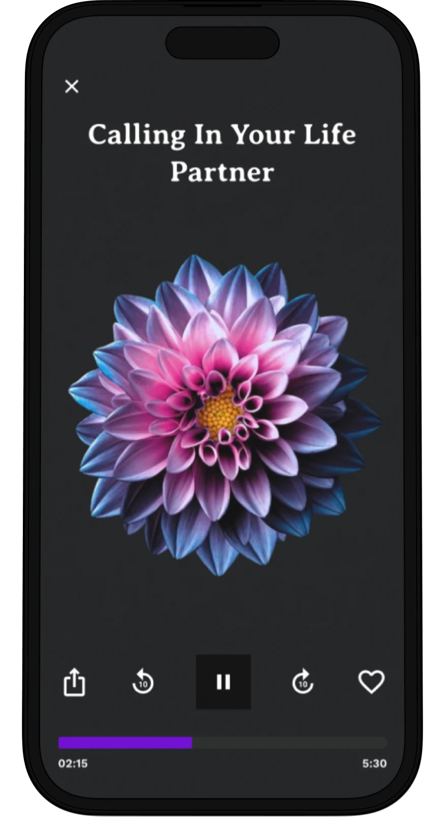 Mobile meditation app screen showing 'Calling In Your Life Partner' audio session with a vibrant dahlia flower and playback controls.