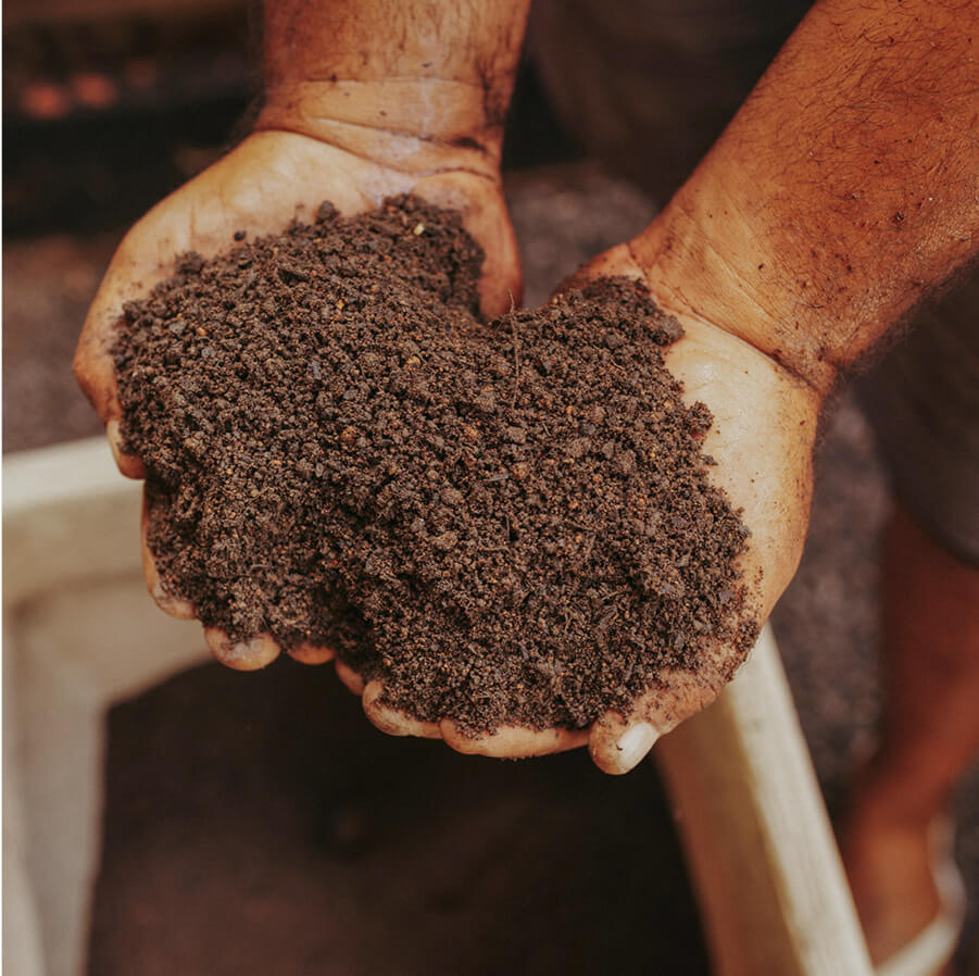 A close up of someone's hands holding some soil