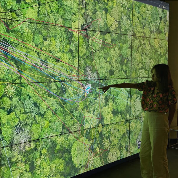 A woman pointing at forest on a large screen