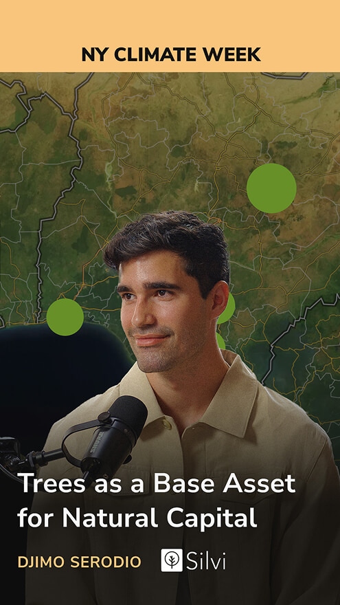 The thumbnail for the video "Trees as a base asset for natural capital" with Djimo Serodio