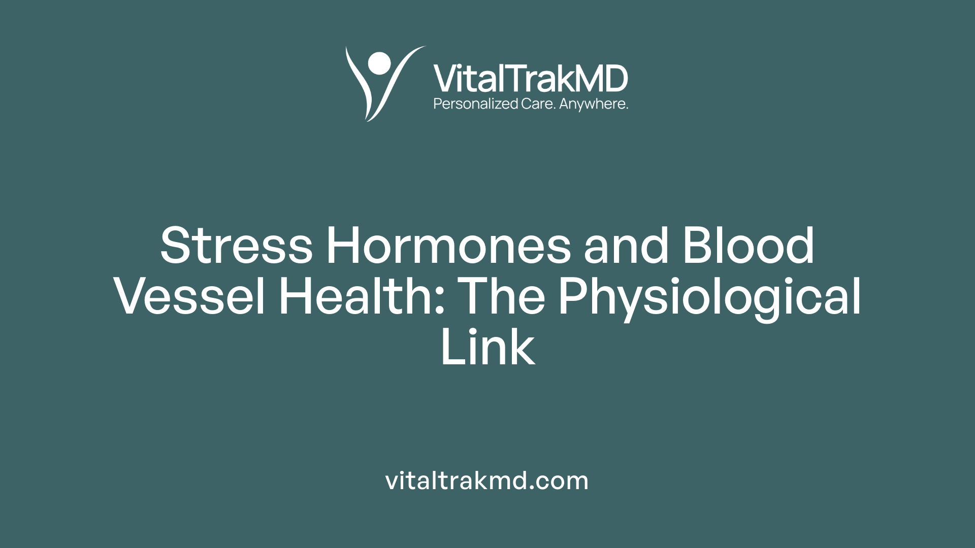 Stress Hormones and Blood Vessel Health: The Physiological Link