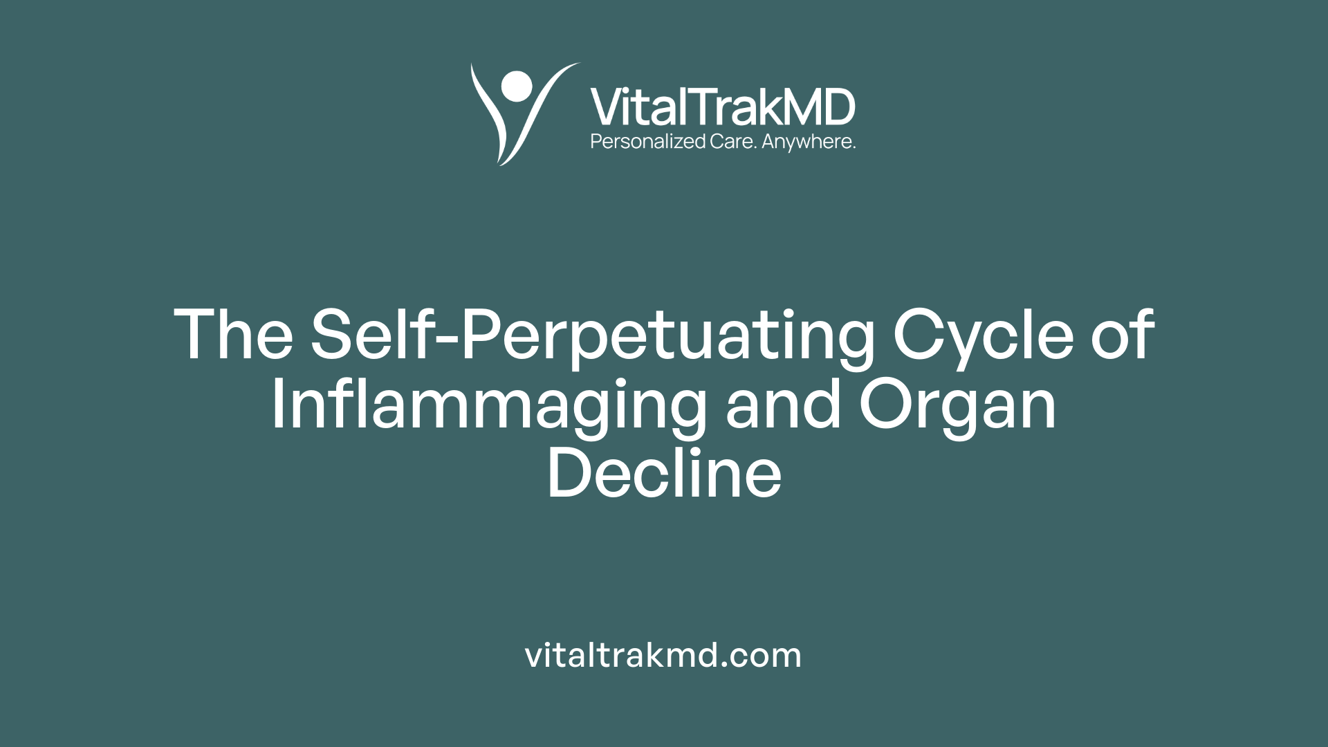 The Self-Perpetuating Cycle of Inflammaging and Organ Decline