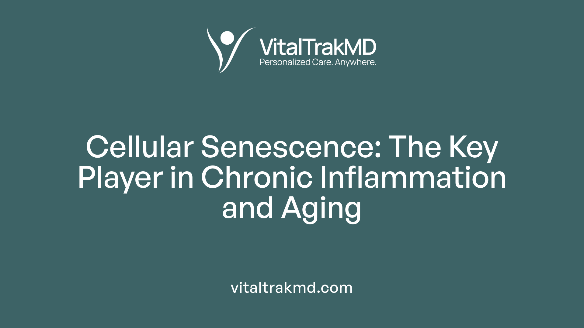 Cellular Senescence: The Key Player in Chronic Inflammation and Aging