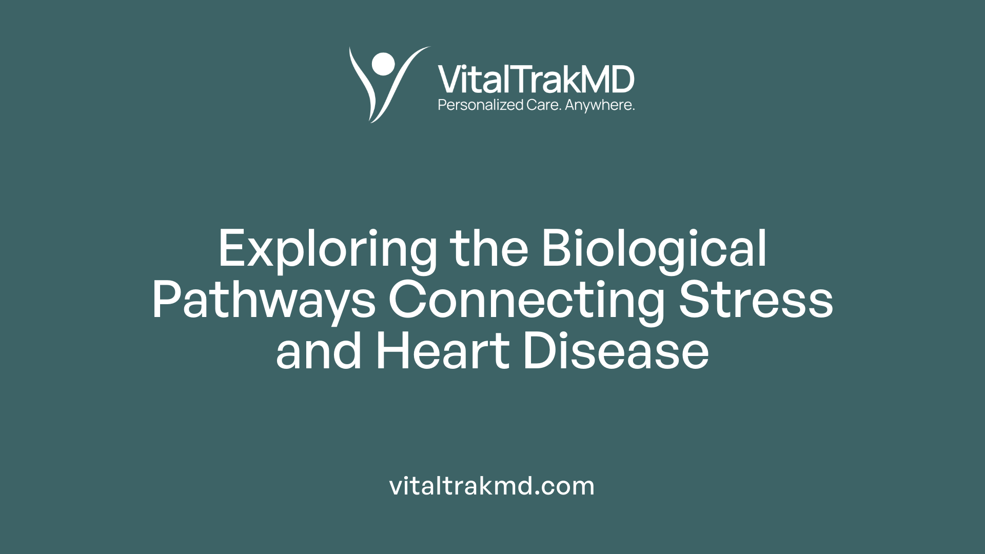 Exploring the Biological Pathways Connecting Stress and Heart Disease