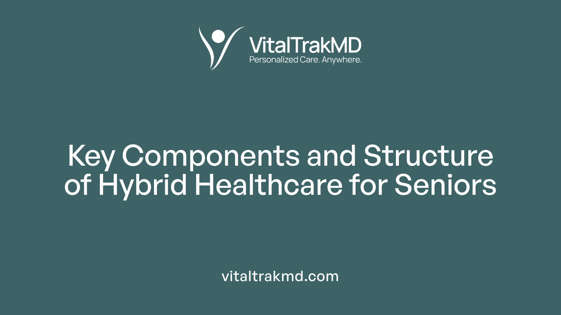 Key Components and Structure of Hybrid Healthcare for Seniors