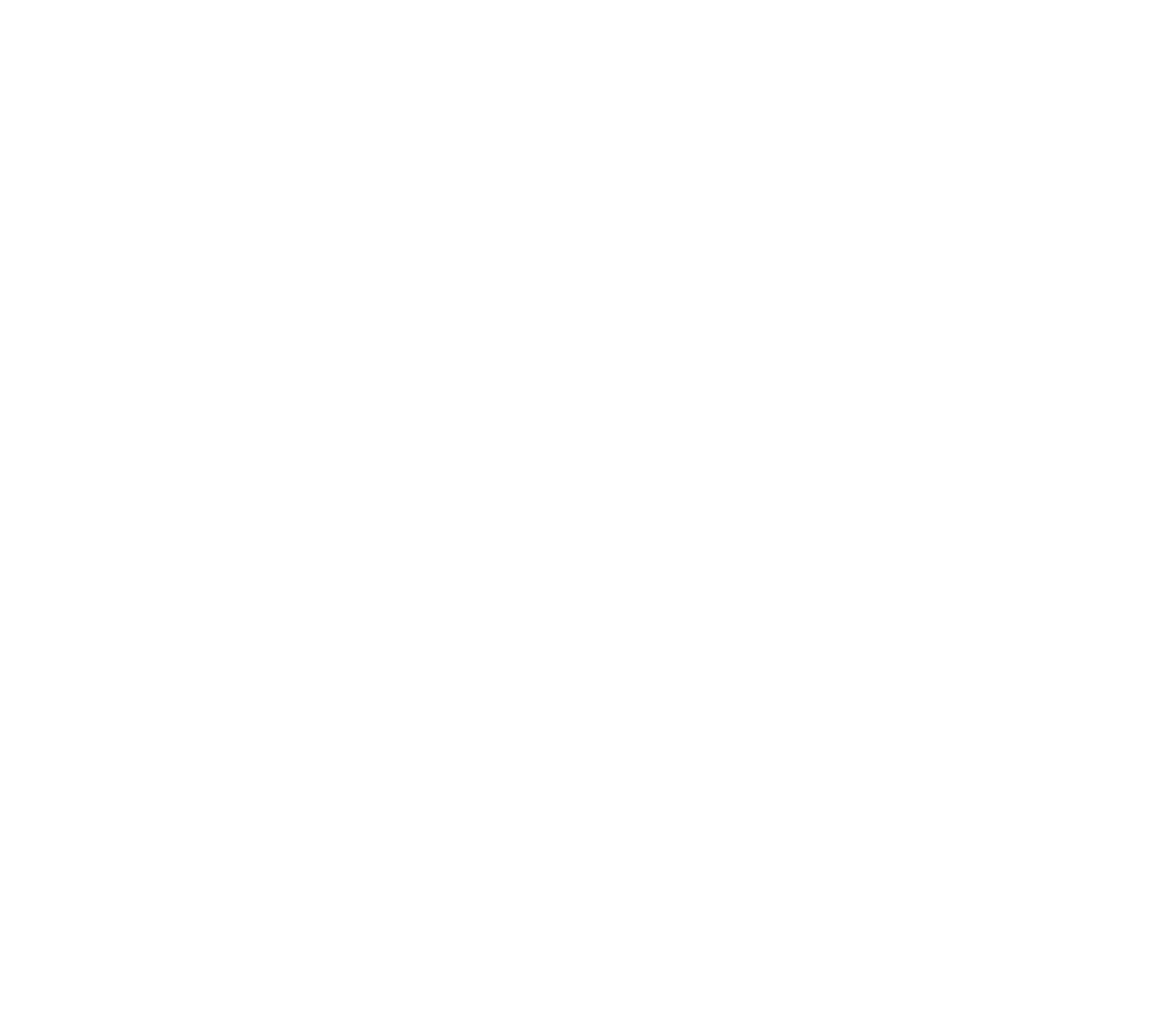 WFP Logo