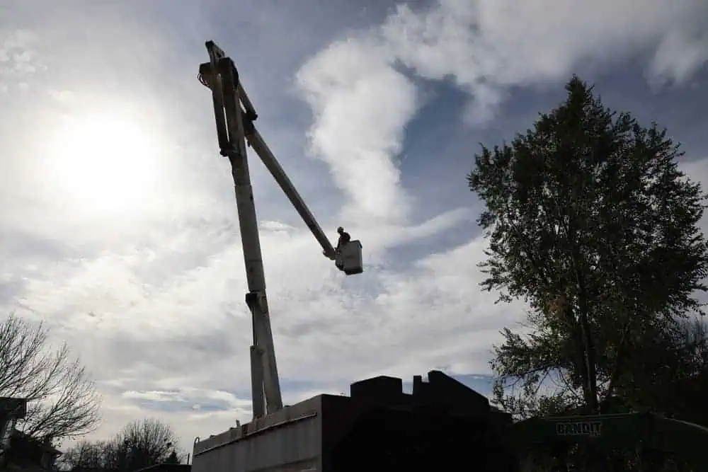 Two tree service experts from Bullard Tree & Garden planting a tree in a landscaped backyard in Boulder. They are wearing bright yellow shirts and protective gear. The lush garden features a wooden fence, patio, and various plants, showcasing professional tree planting services in a residential area.