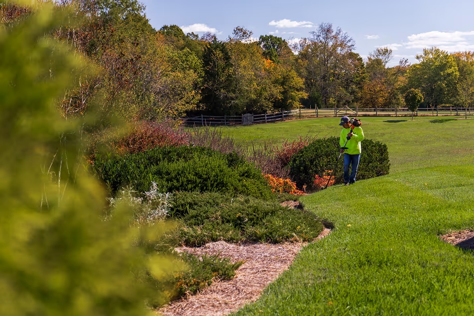 Ideal Landscaping & Irrigation photo 5