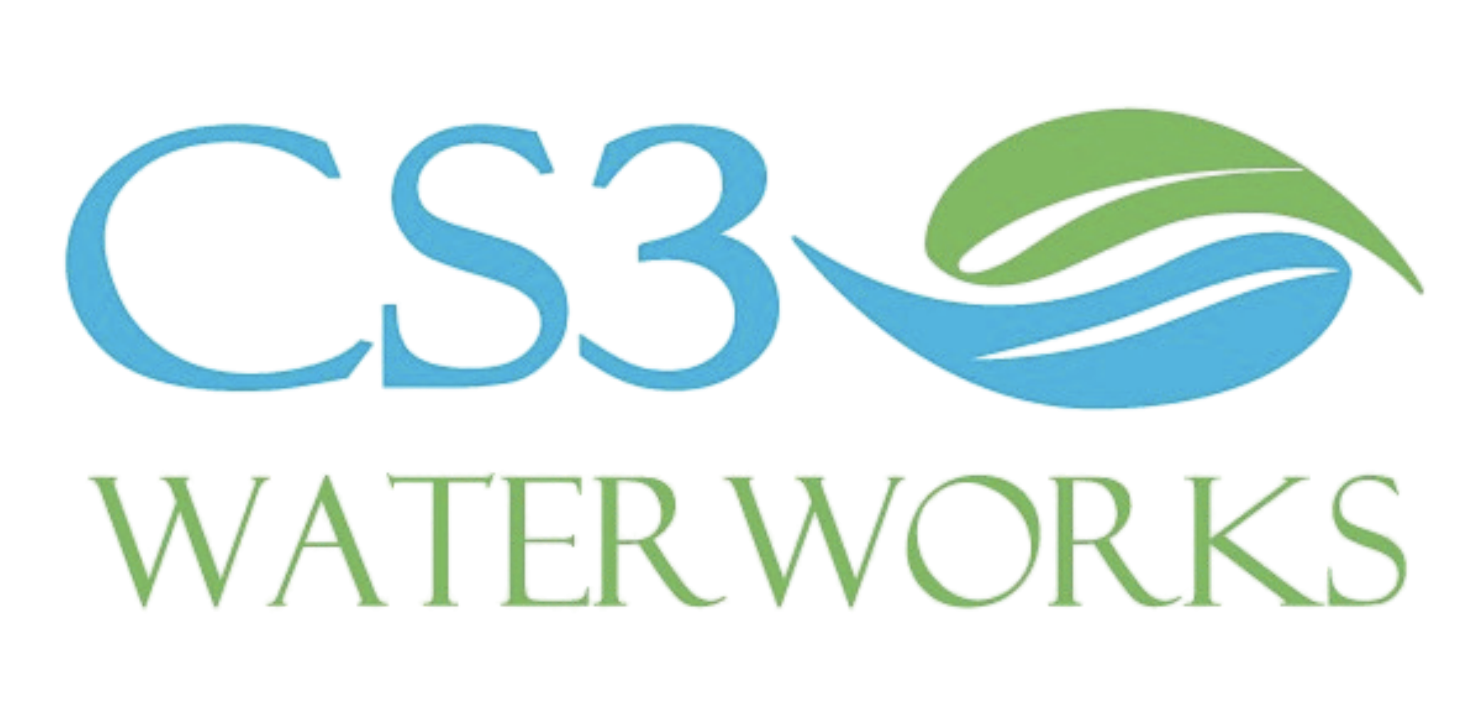 CS3