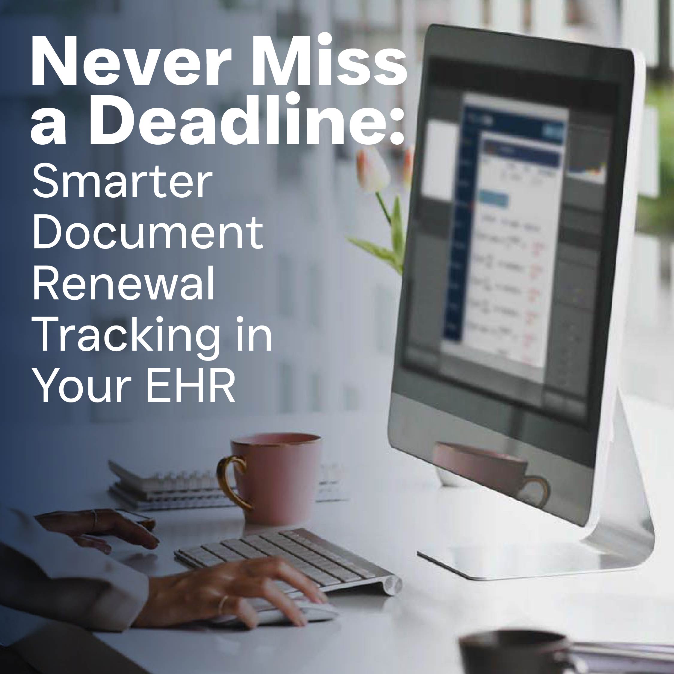 image of an educational seminar in progress (for a veterinary clinic)