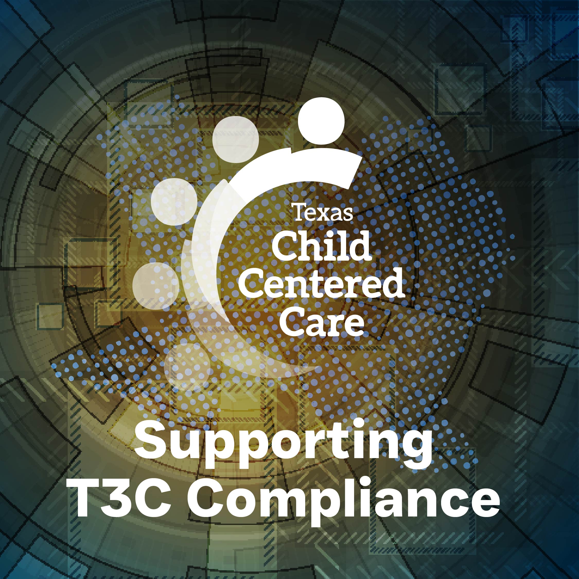 image of an educational seminar in progress (for a veterinary clinic)