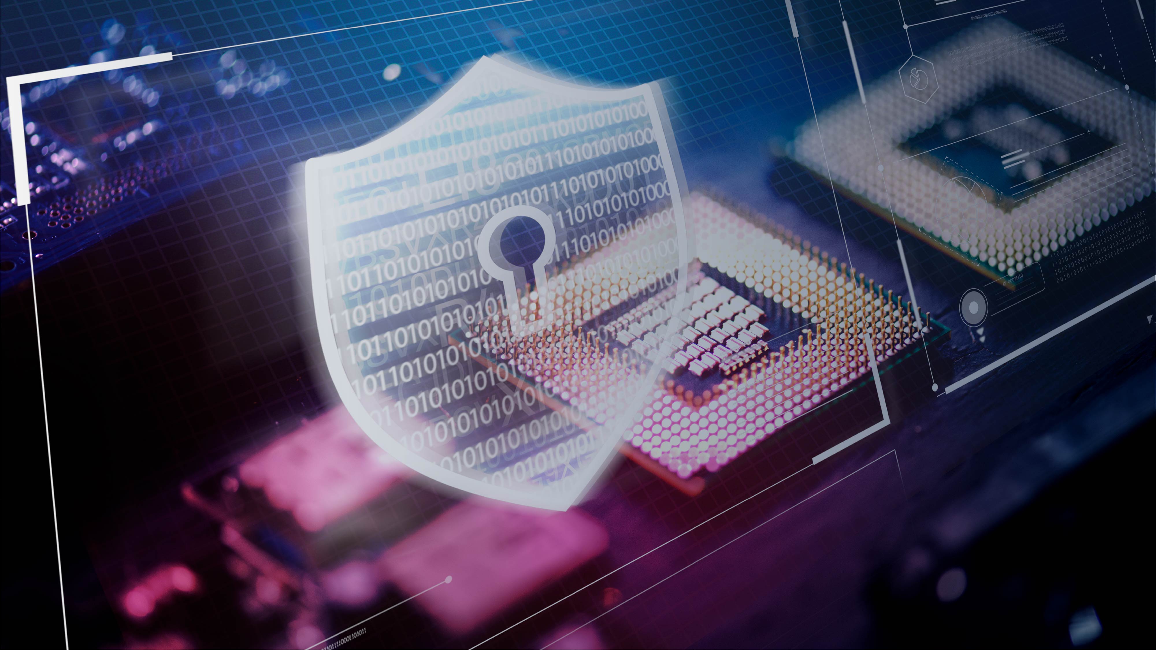 image of an educational seminar in progress (for a veterinary clinic)