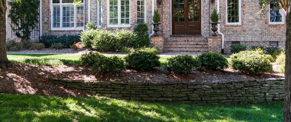 Mulch in a landscape bed in Greensboro, NC.