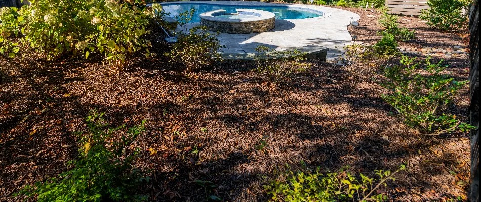 Mulch and plants in a landscape bed in Greensboro, NC.