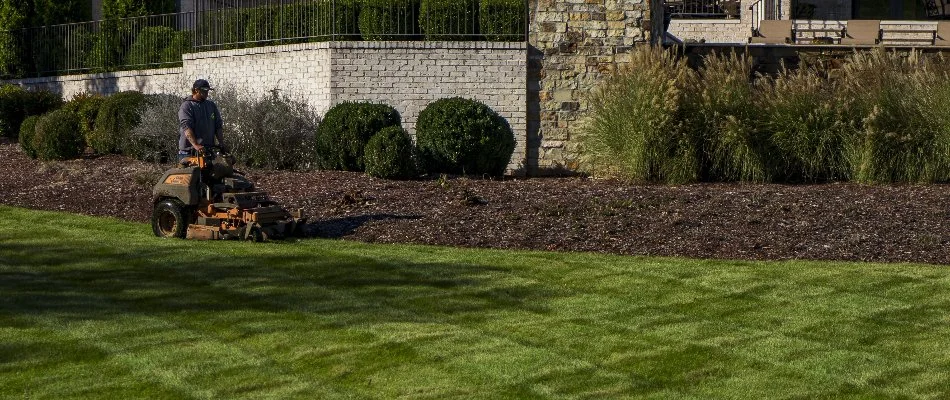 Crew mowing new sod in Greensboro, NC, near a mulched landscape bed.