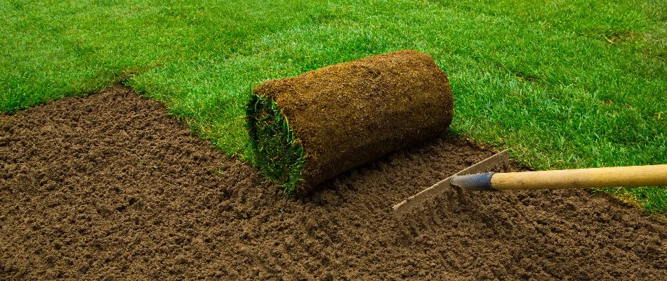 Sod being installed on a property in High Point, NC.