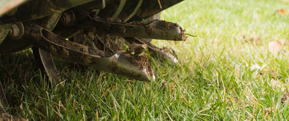 A core aerator machine in a lawn in Greensboro, NC.