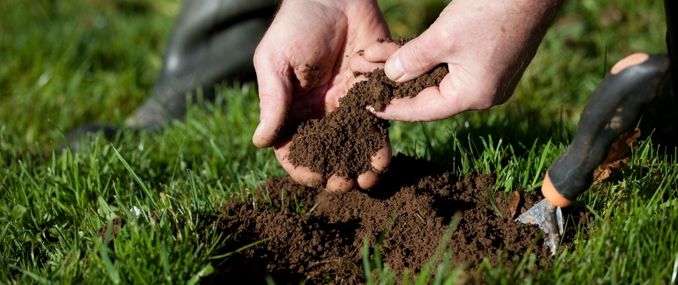 Our client in Summerfield, NC testing his soil to see if annual flowers can thrive there.