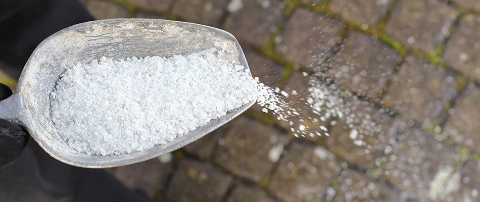 Deicing product being applied to sidewalk in High Point, NC.