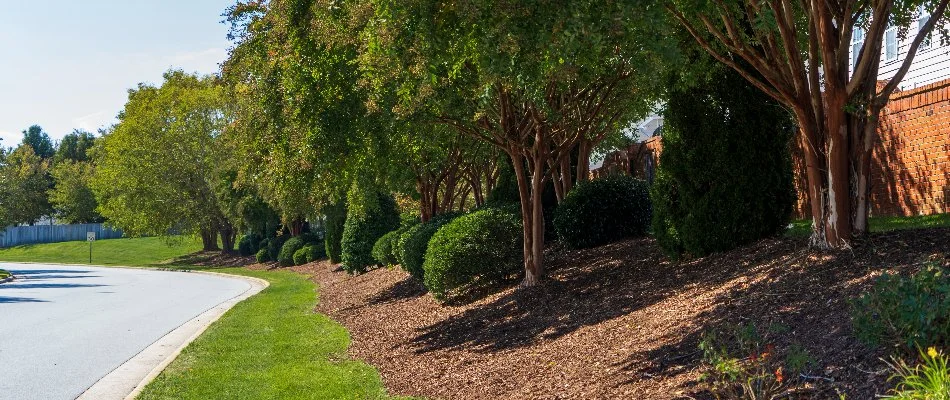 Hoa Landscape With Trees Mulch Shrubs