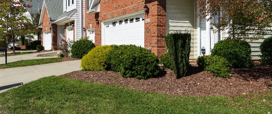 Brown Mulch Shrubs And Green Grass