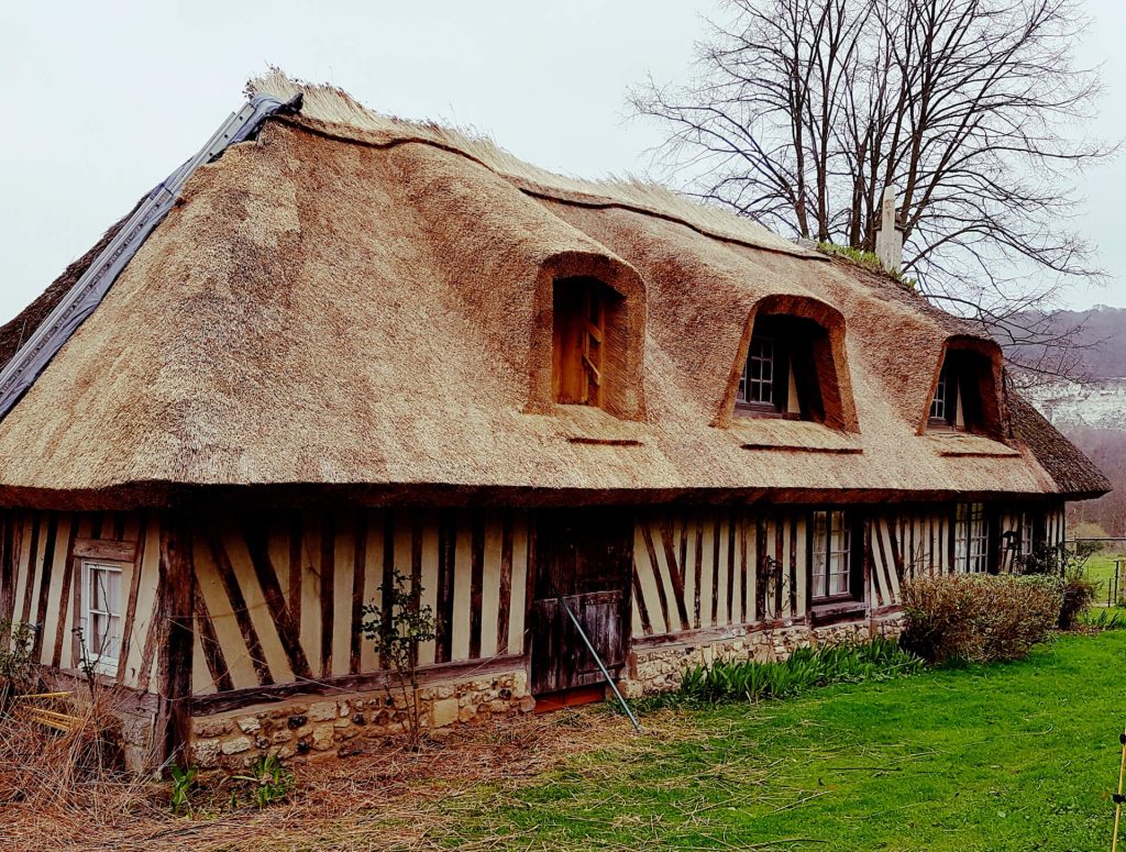 Blog Image