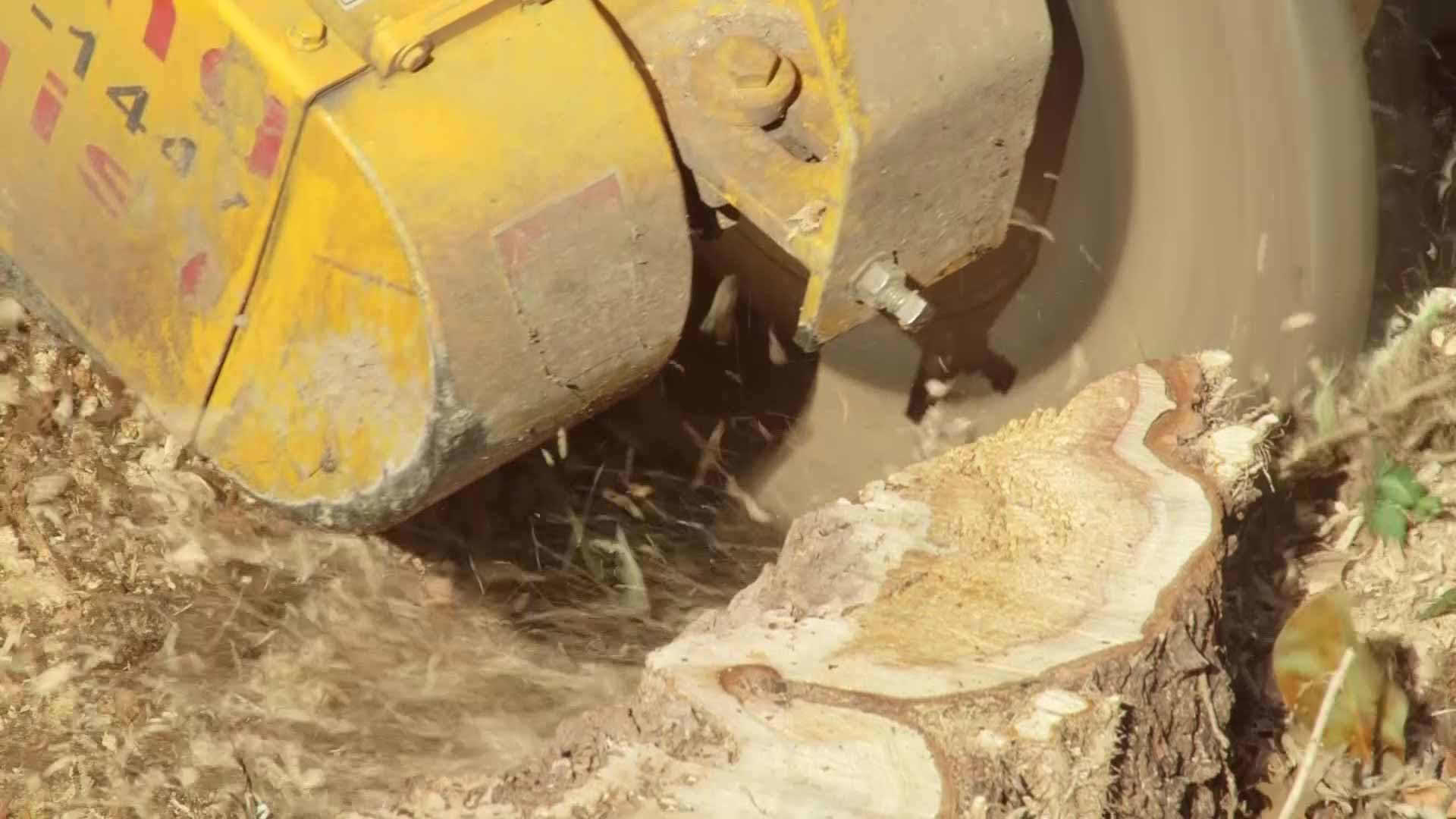 A stump grinder grinding a stump