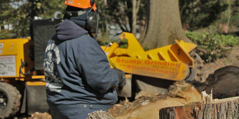 Sam's Services controlling a stump grinder