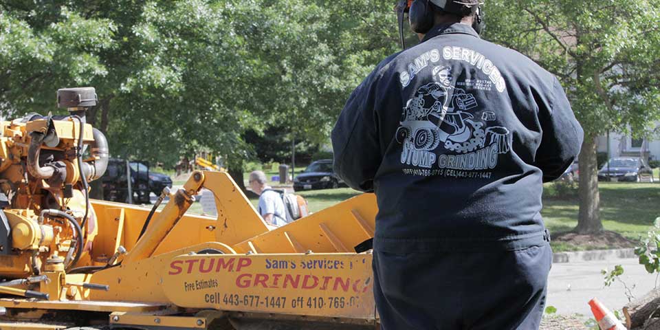 Sam Crowder controlling a stump grinder