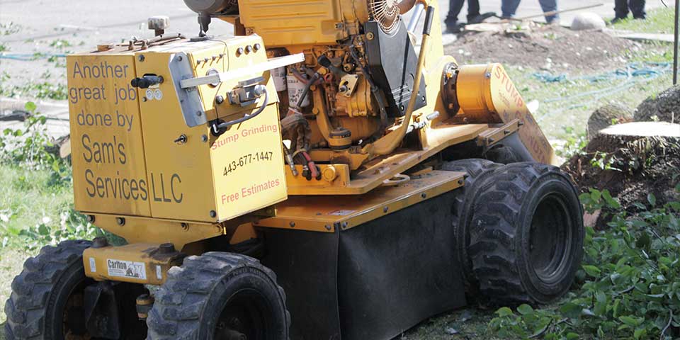 A stump grinder grinding a stump