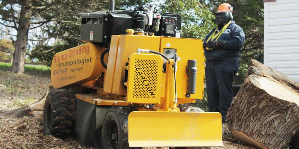 A Carlton Stump Grinder