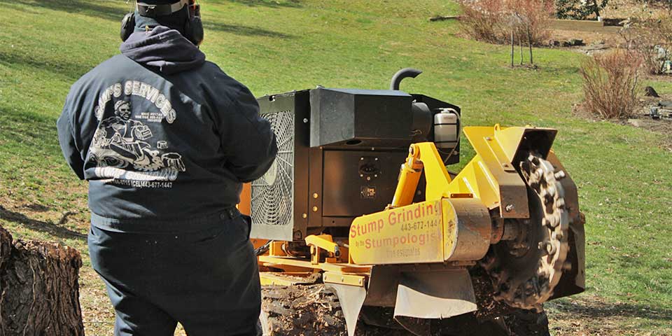 Sam Crowder controlling a stump grinder